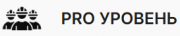 PRO �������
