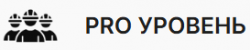 PRO �������