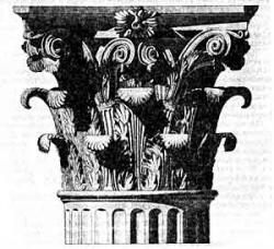 Ursus decor