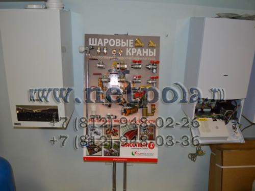  netpola.ru 009